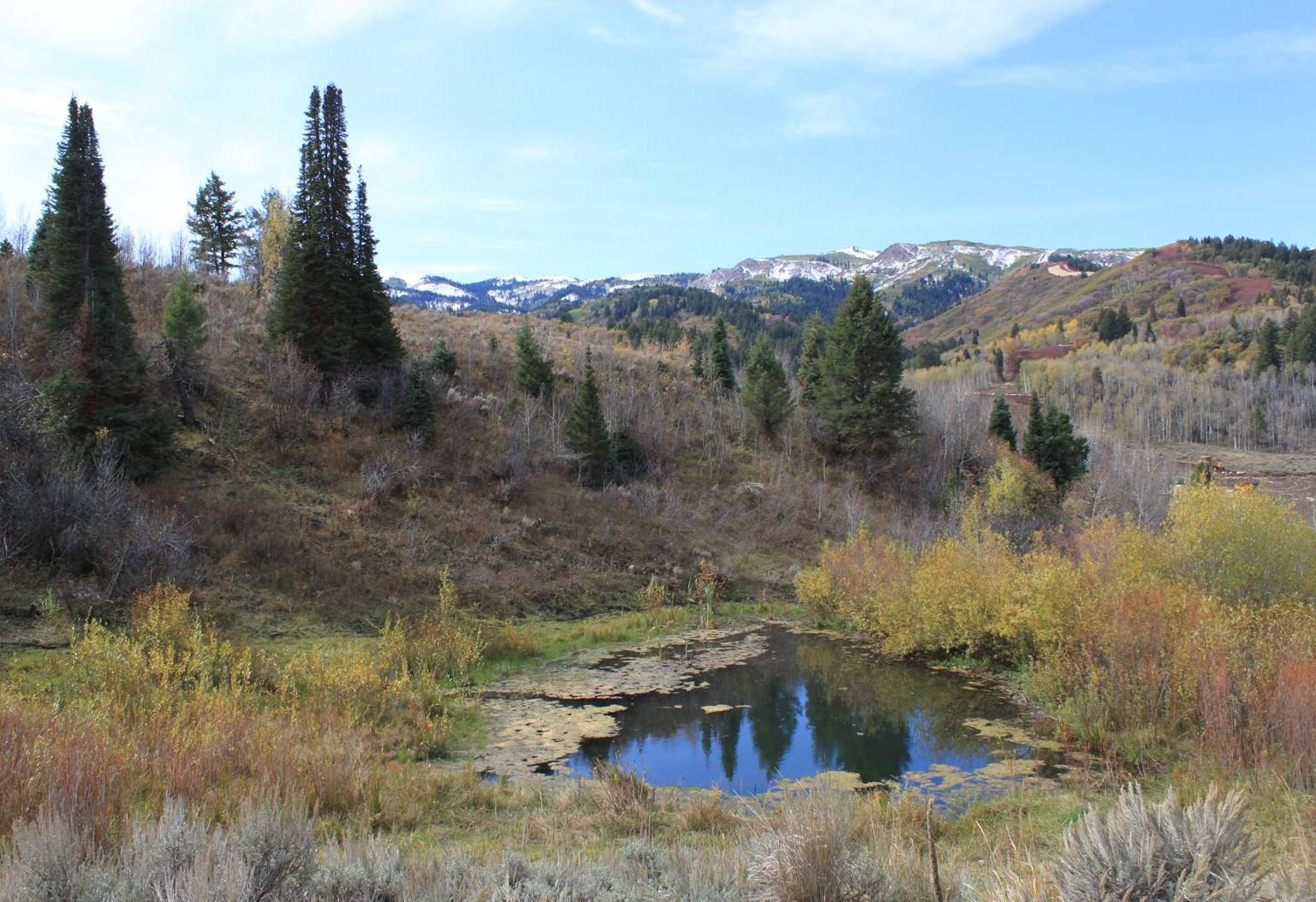 SOLD Hardscrabble Ranch