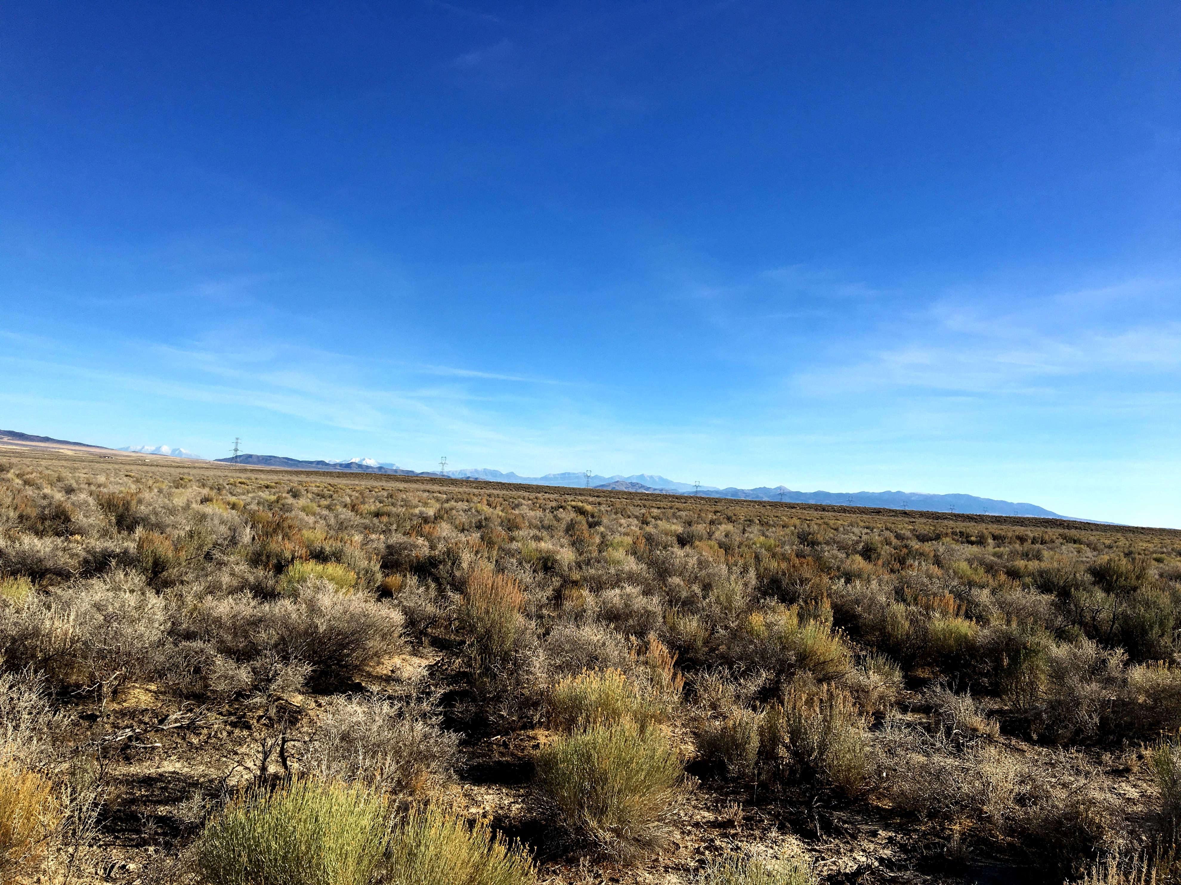 SOLD Rush Valley Land