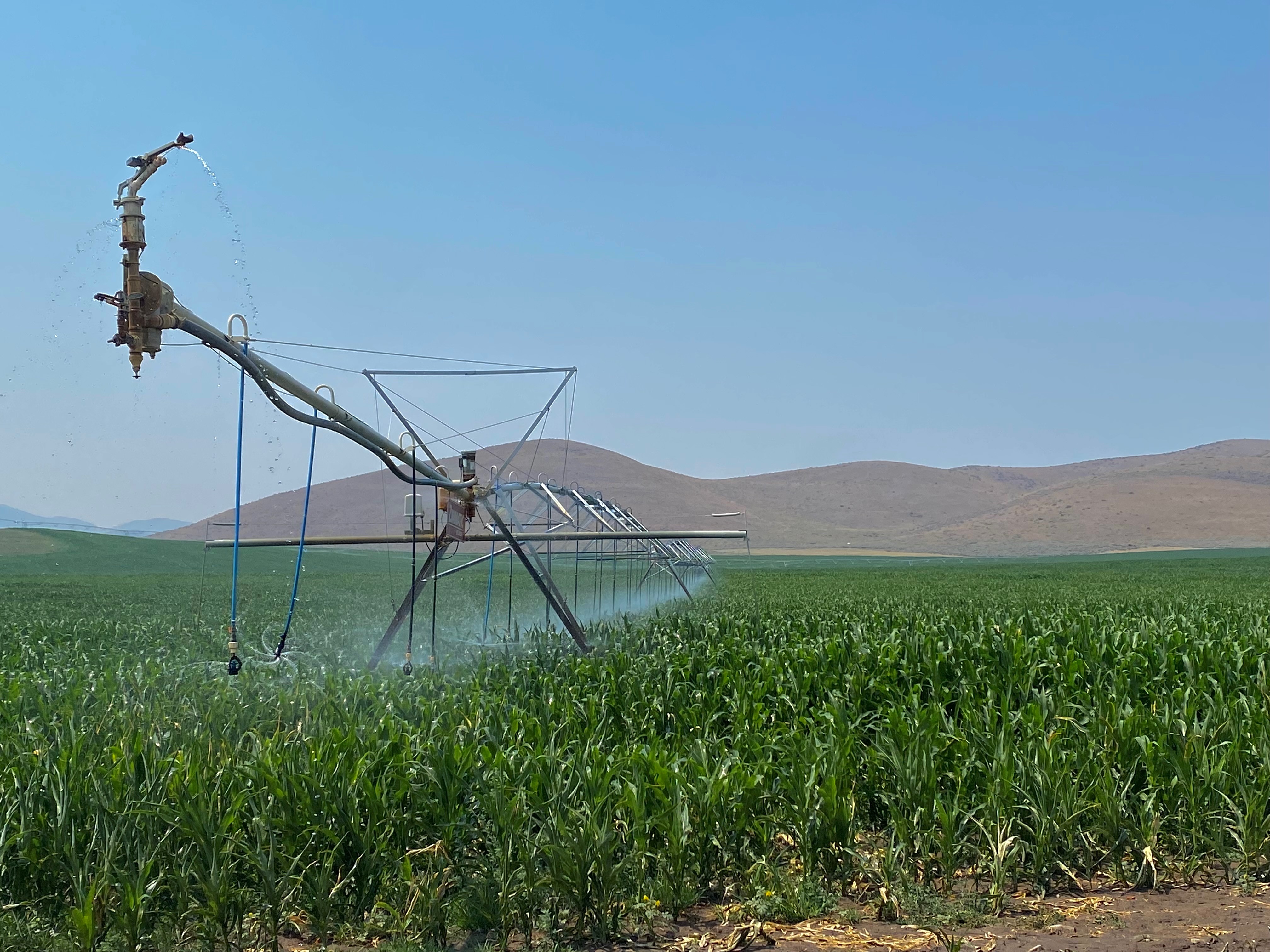 SOLD Malad Irrigated Farm