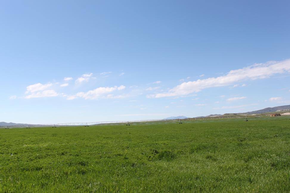 SOLD Grouse Creek Ranch