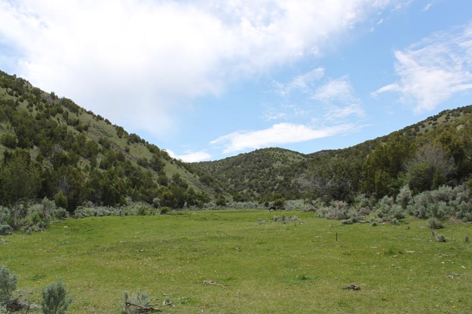 SOLD Grouse Creek Ranch