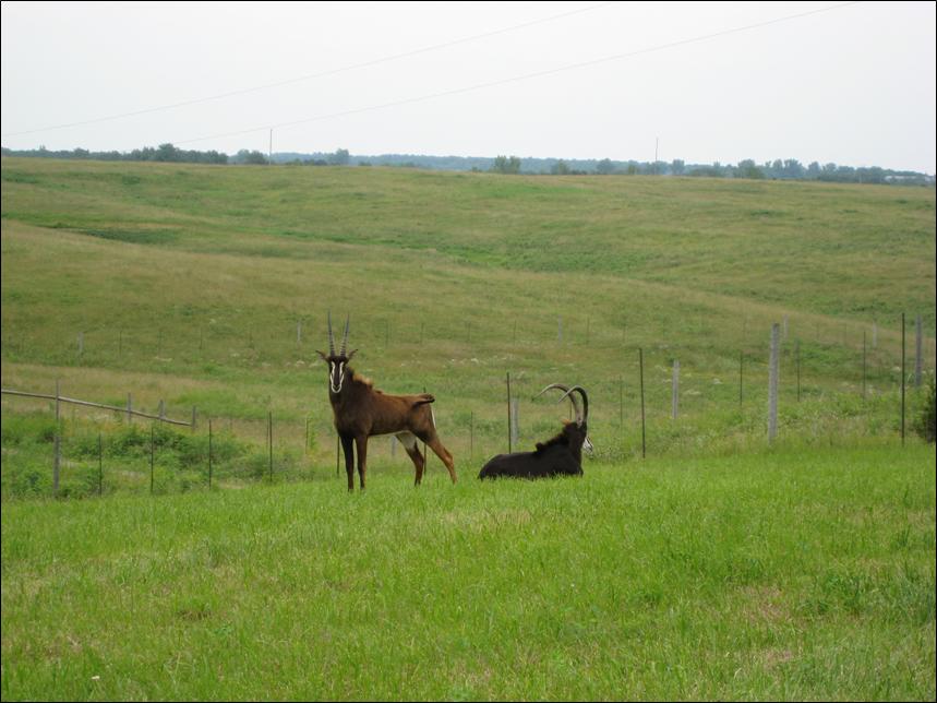 SOLD Linn County Farm and Ranch Land