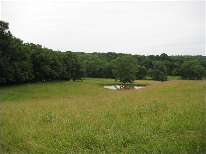 SOLD Linn County Farm and Ranch Land