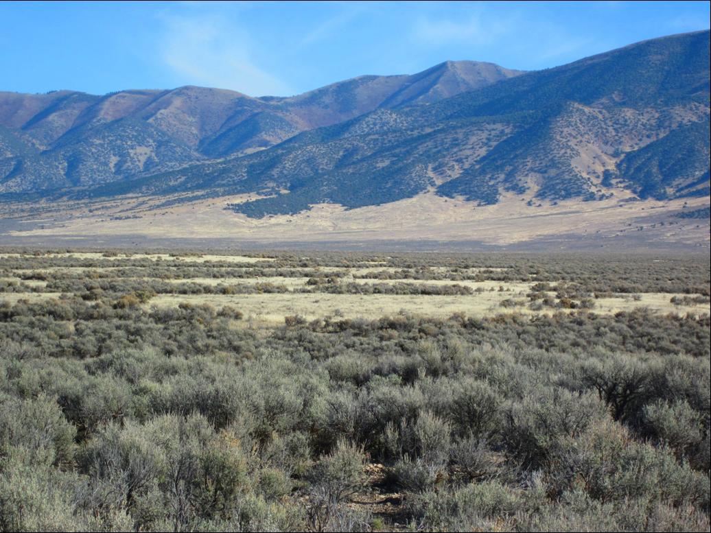 SOLD Rush Valley Range Land