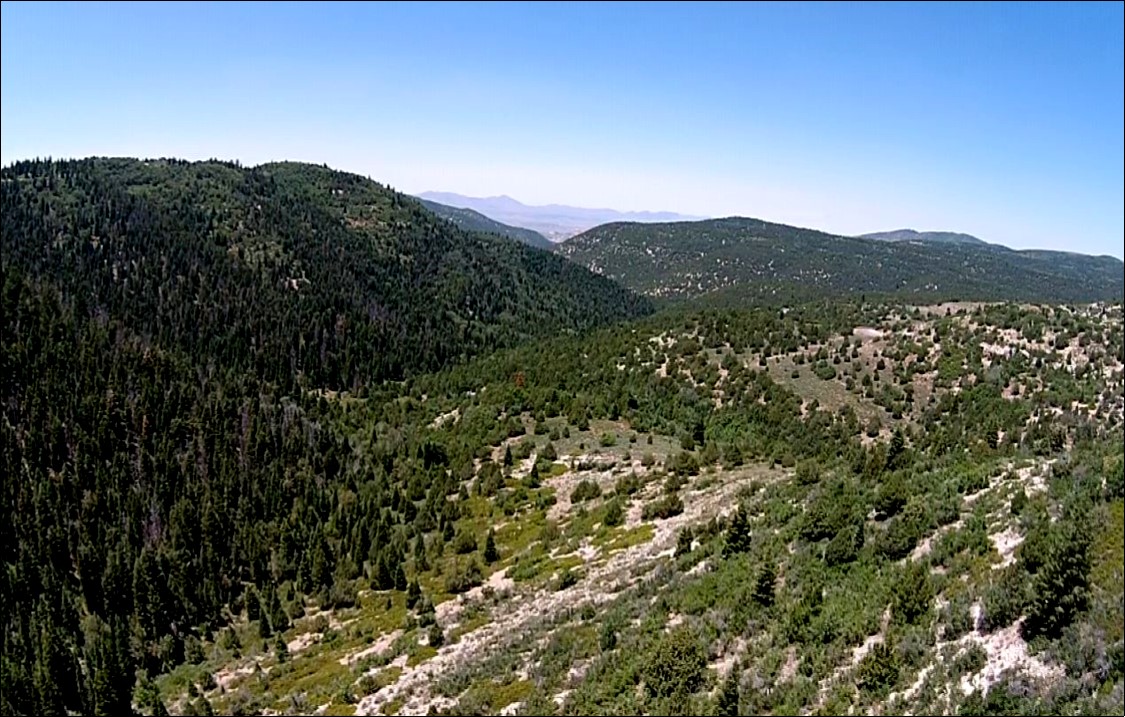 SOLD Bear Canyon Ranch