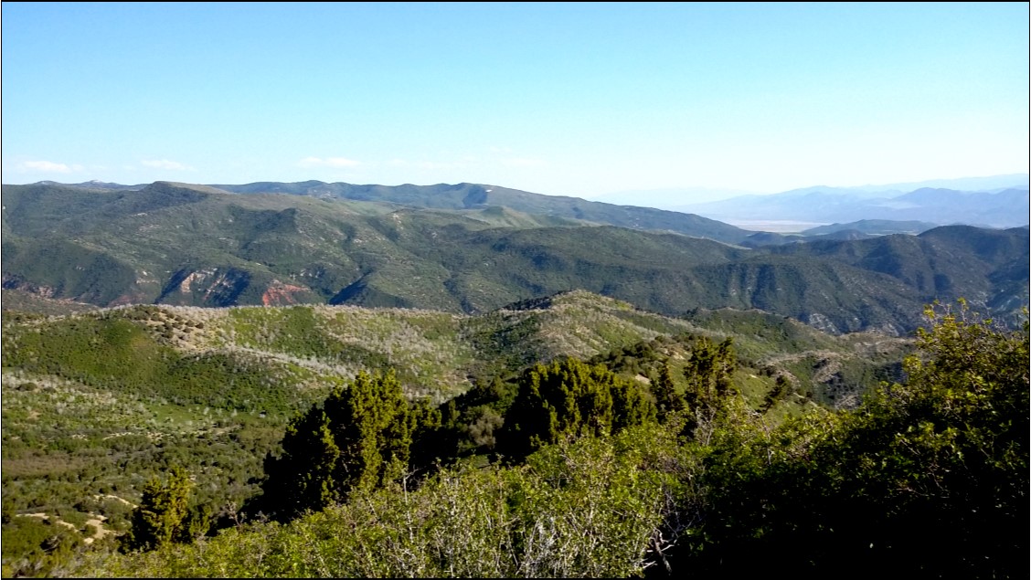 SOLD Bear Canyon Ranch